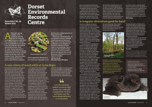 Dorset Environmental Records Centre DERC